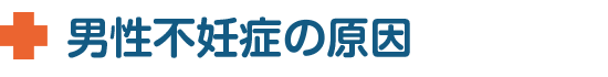 男性不妊症の原因