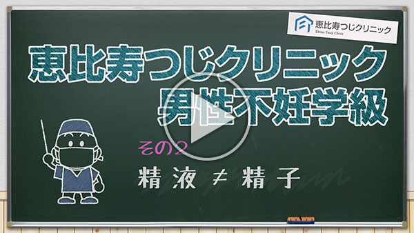 恵比寿つじクリニック男性不妊学級　その2 精液 ≠ 精子